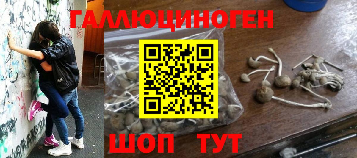 Великий Устюг  Галлюциногенные грибы Psilocybe  Вход с VPN 